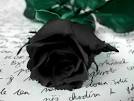 rosa.luto