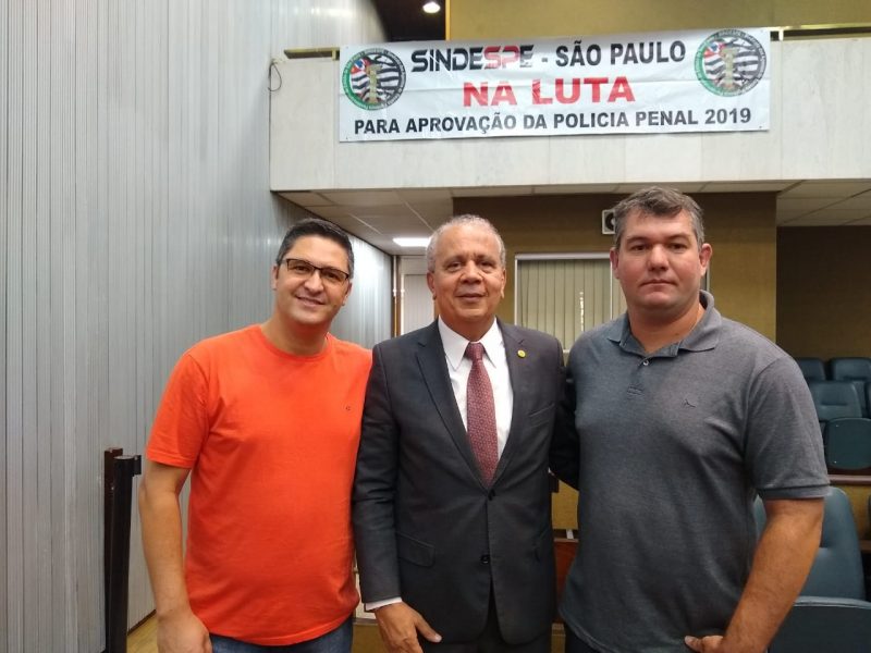 mingardi tenente nascimento-alesp