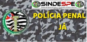 WhatsApp Image 2020-08-04 at 11.26.57 AM