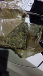 apreensoes hortrolandia-2