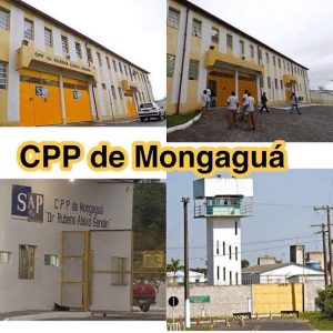 WhatsApp Image 2022-05-14 at 17.11.42