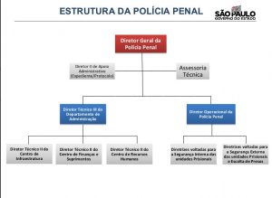 estrutura