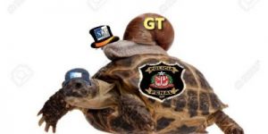 tartaruga-GT-400x200